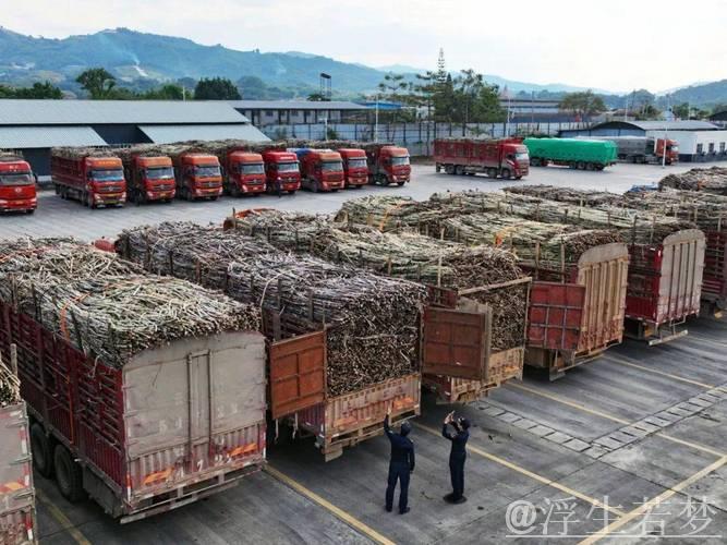 外贸企业假日出口忙