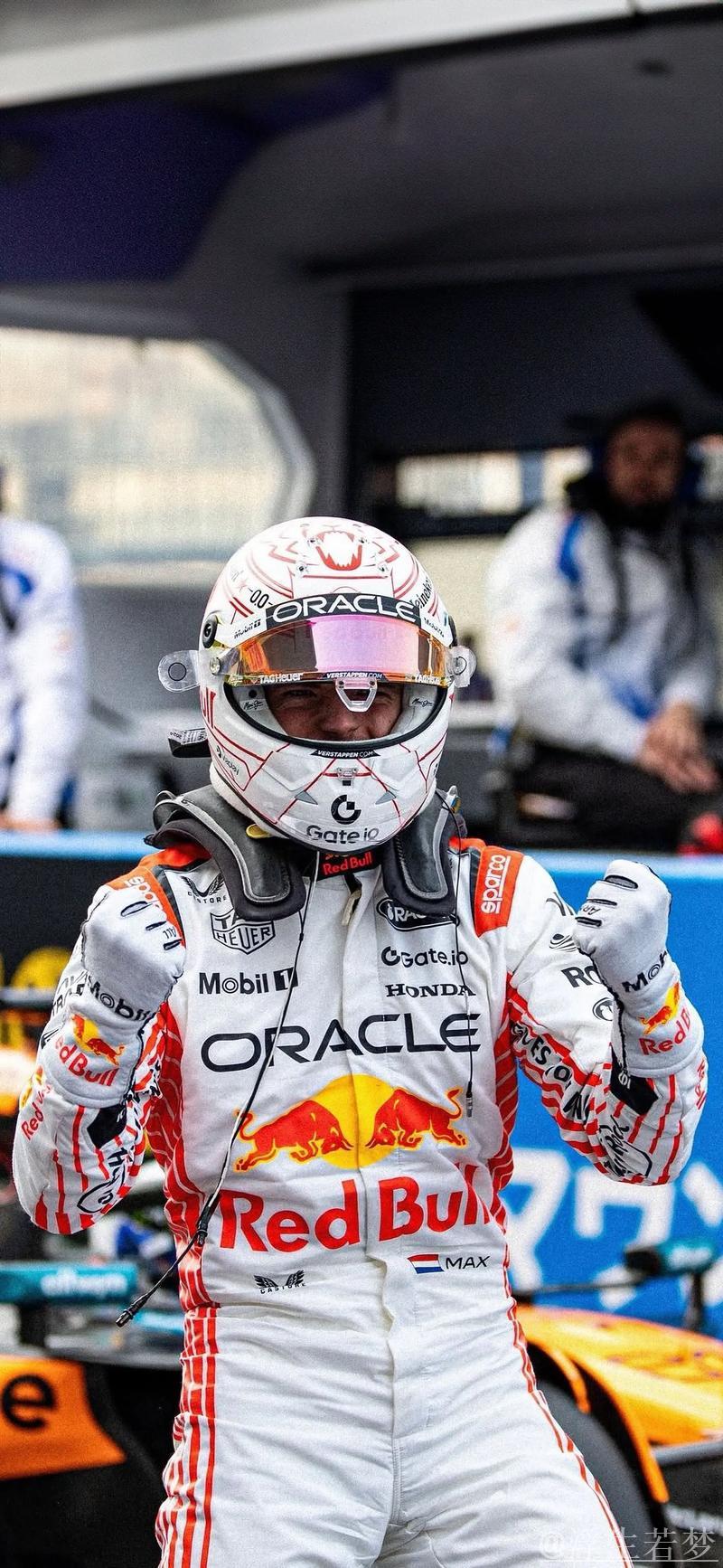 诺里斯斩获首个F1总冠军 维斯塔潘加冕阿布扎比站冠军