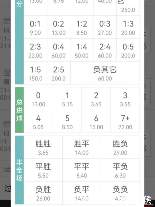 世界杯投注常见问题：解答新手疑惑